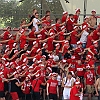 27.7.2013  FC Rot-Weiss Erfurt - Hallescher FC  3-0_48